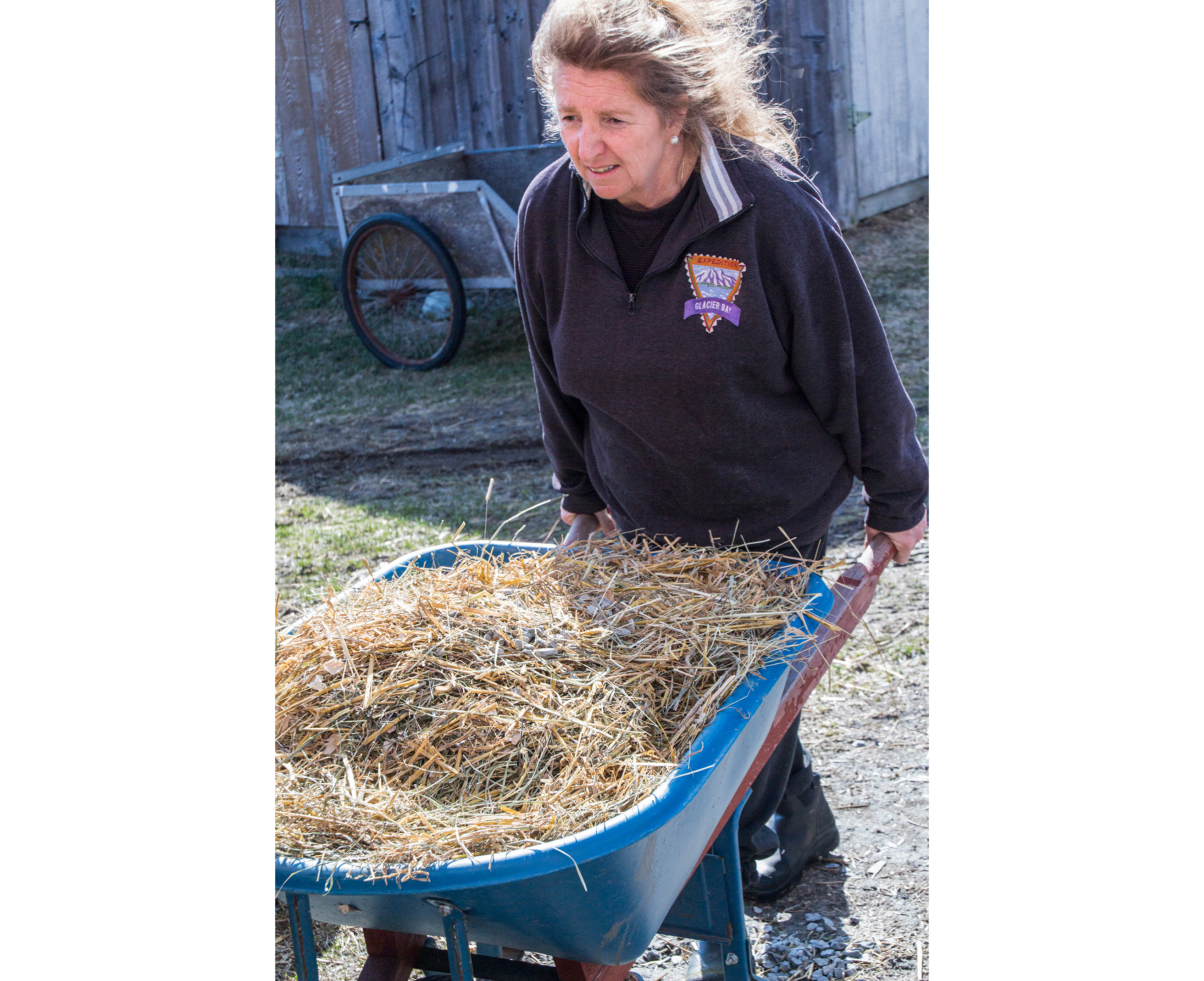 Wheelbarrow with bedding