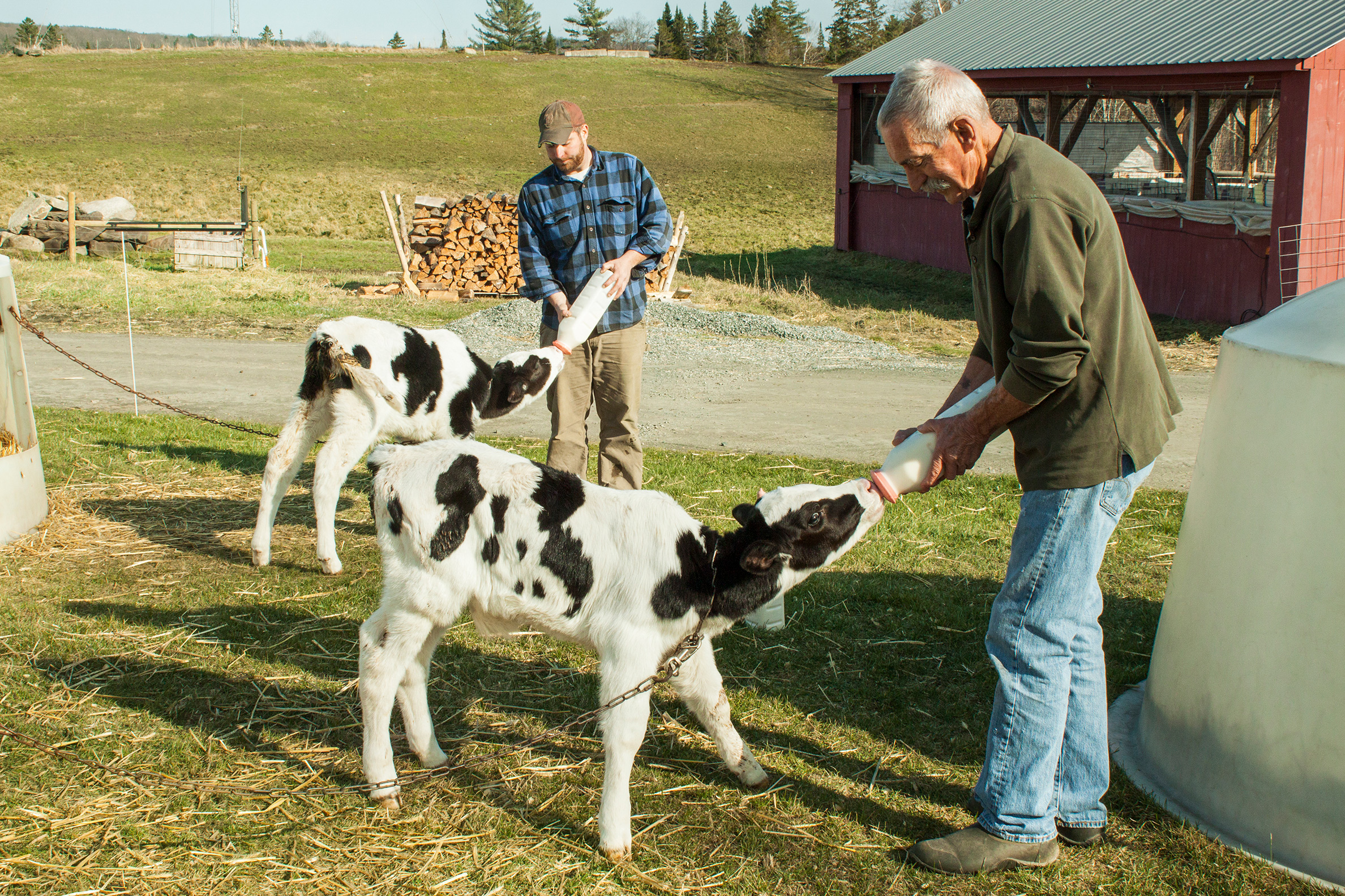 Helm and Ben bottle feeding
