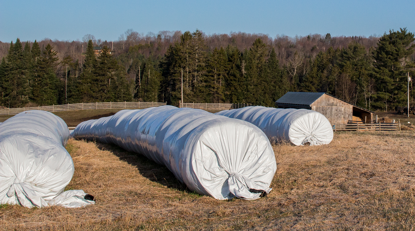 Hay bales stored