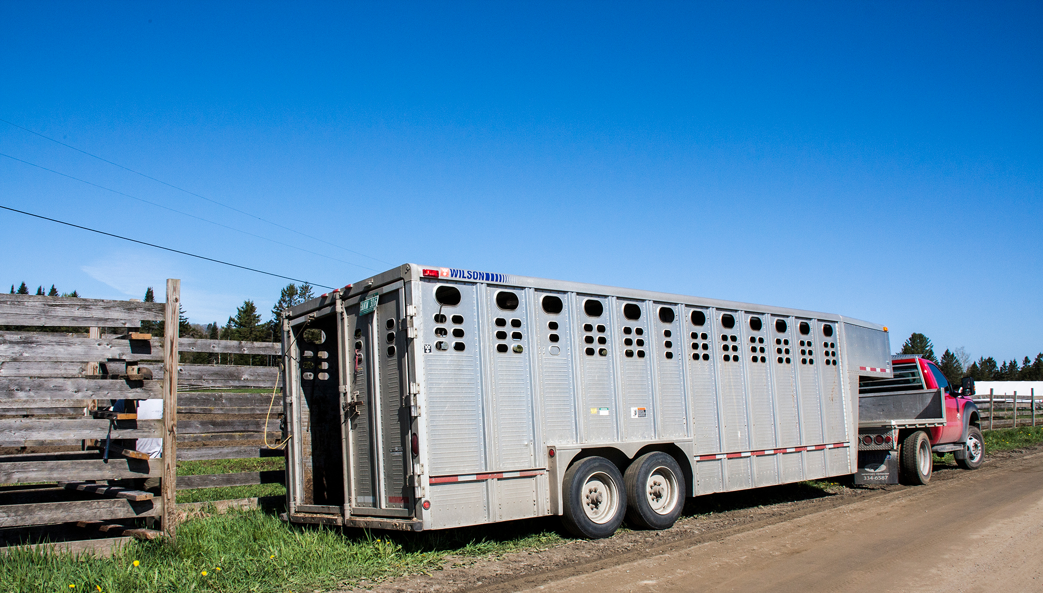 Slaughter truck